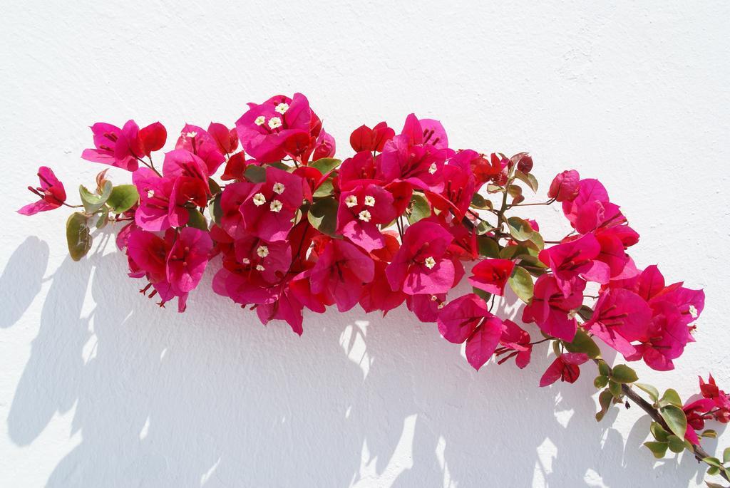 Aethrio Sunset Village - Oia Luaran gambar